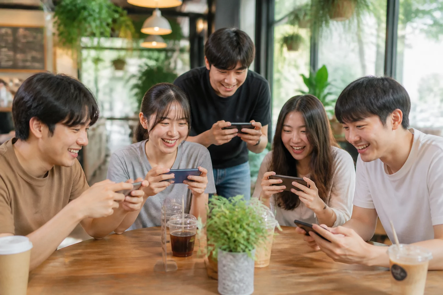 Breezy Fern Gaming Platform Experience